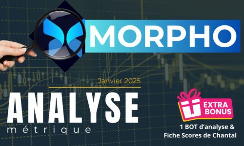 Analyse métrique du projet MORPHO